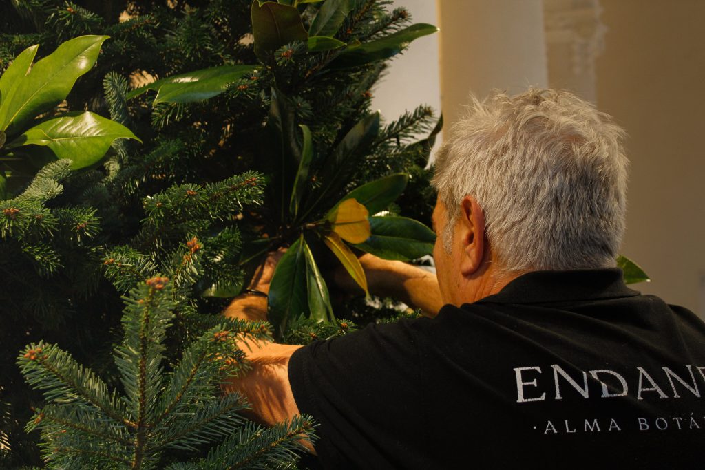 Escaparatismo de navidad en Gipuzkoa